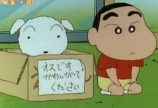 能按照训练AlphaGo的方式训练小白么……
